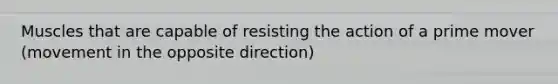Muscles that are capable of resisting the action of a prime mover (movement in the opposite direction)