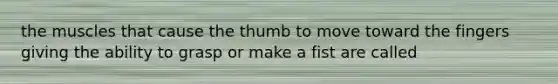 the muscles that cause the thumb to move toward the fingers giving the ability to grasp or make a fist are called