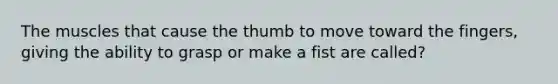 The muscles that cause the thumb to move toward the fingers, giving the ability to grasp or make a fist are called?