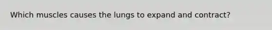 Which muscles causes the lungs to expand and contract?