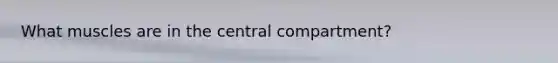 What muscles are in the central compartment?