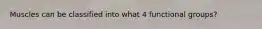 Muscles can be classified into what 4 functional groups?