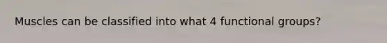 Muscles can be classified into what 4 functional groups?