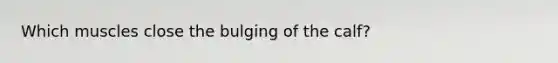 Which muscles close the bulging of the calf?