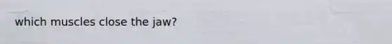 which muscles close the jaw?
