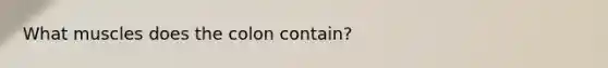 What muscles does the colon contain?