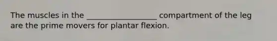 The muscles in the __________________ compartment of the leg are the prime movers for plantar flexion.