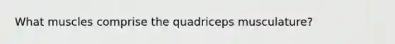 What muscles comprise the quadriceps musculature?