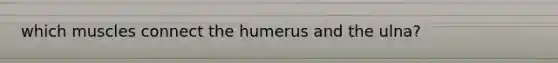 which muscles connect the humerus and the ulna?