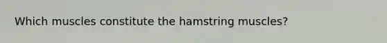 Which muscles constitute the hamstring muscles?