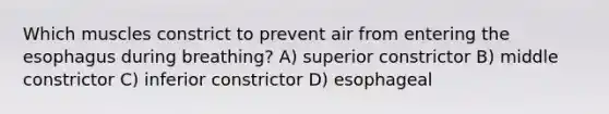 Which muscles constrict to prevent air from entering the esophagus during breathing? A) superior constrictor B) middle constrictor C) inferior constrictor D) esophageal