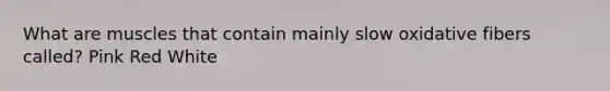 What are muscles that contain mainly slow oxidative fibers called? Pink Red White
