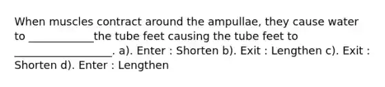 When muscles contract around the ampullae, they cause water to ____________the tube feet causing the tube feet to __________________. a). Enter : Shorten b). Exit : Lengthen c). Exit : Shorten d). Enter : Lengthen