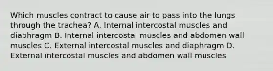 Which muscles contract to cause air to pass into the lungs through the trachea? A. Internal intercostal muscles and diaphragm B. Internal intercostal muscles and abdomen wall muscles C. External intercostal muscles and diaphragm D. External intercostal muscles and abdomen wall muscles