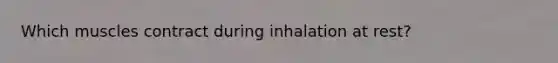 Which muscles contract during inhalation at rest?