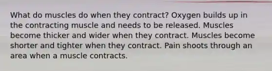 What do muscles do when they contract? Oxygen builds up in the contracting muscle and needs to be released. Muscles become thicker and wider when they contract. Muscles become shorter and tighter when they contract. Pain shoots through an area when a muscle contracts.