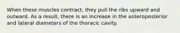 When these muscles contract, they pull the ribs upward and outward. As a result, there is an increase in the anteroposterior and lateral diameters of the thoracic cavity.