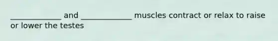 _____________ and _____________ muscles contract or relax to raise or lower the testes