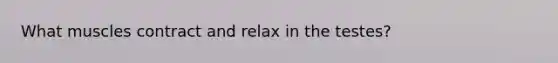 What muscles contract and relax in the testes?