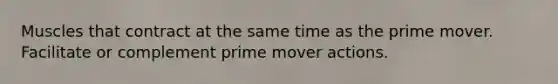 Muscles that contract at the same time as the prime mover. Facilitate or complement prime mover actions.