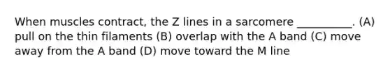 When muscles contract, the Z lines in a sarcomere __________. (A) pull on the thin filaments (B) overlap with the A band (C) move away from the A band (D) move toward the M line