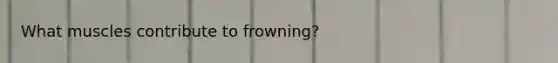 What muscles contribute to frowning?