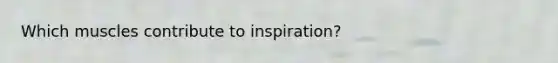 Which muscles contribute to inspiration?