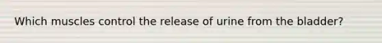 Which muscles control the release of urine from the bladder?