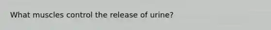 What muscles control the release of urine?