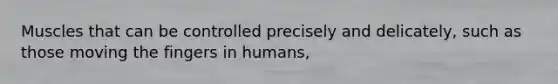 Muscles that can be controlled precisely and delicately, such as those moving the fingers in humans,