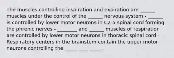 The muscles controlling inspiration and expiration are ______ muscles under the control of the ______ nervous system - ______ is controlled by lower motor neurons in C2-5 spinal cord forming the phrenic nerves - ________ and ______ muscles of respiration are controlled by lower motor neurons in thoracic spinal cord -Respiratory centers in the brainstem contain the upper motor neurons controlling the _____ ____ _____.