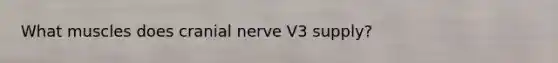 What muscles does cranial nerve V3 supply?