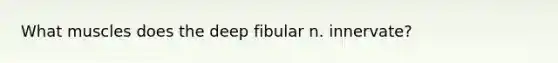 What muscles does the deep fibular n. innervate?