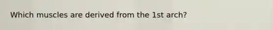 Which muscles are derived from the 1st arch?