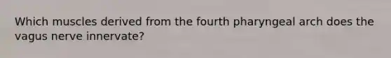 Which muscles derived from the fourth pharyngeal arch does the vagus nerve innervate?
