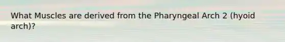 What Muscles are derived from the Pharyngeal Arch 2 (hyoid arch)?