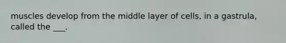 muscles develop from the middle layer of cells, in a gastrula, called the ___.