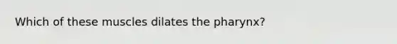 Which of these muscles dilates the pharynx?