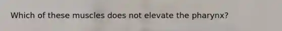 Which of these muscles does not elevate the pharynx?