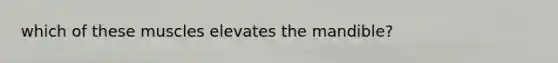 which of these muscles elevates the mandible?