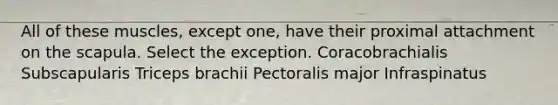 All of these muscles, except one, have their proximal attachment on the scapula. Select the exception. Coracobrachialis Subscapularis Triceps brachii Pectoralis major Infraspinatus