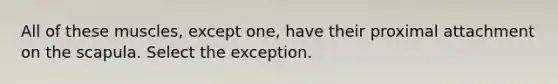 All of these muscles, except one, have their proximal attachment on the scapula. Select the exception.