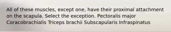 All of these muscles, except one, have their proximal attachment on the scapula. Select the exception. Pectoralis major Coracobrachialis Triceps brachii Subscapularis Infraspinatus
