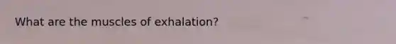 What are the muscles of exhalation?