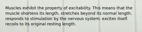 Muscles exhibit the property of excitability. This means that the muscle shortens its length. stretches beyond its normal length. responds to stimulation by the <a href='https://www.questionai.com/knowledge/kThdVqrsqy-nervous-system' class='anchor-knowledge'>nervous system</a>. excites itself. recoils to its original resting length.