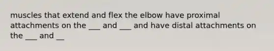 muscles that extend and flex the elbow have proximal attachments on the ___ and ___ and have distal attachments on the ___ and __