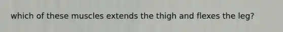 which of these muscles extends the thigh and flexes the leg?