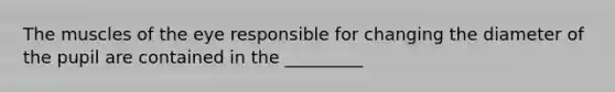 The muscles of the eye responsible for changing the diameter of the pupil are contained in the _________