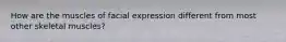 How are the muscles of facial expression different from most other skeletal muscles?