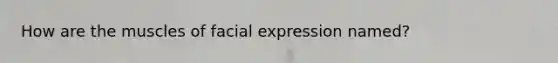 How are the muscles of facial expression named?